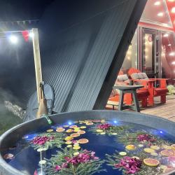 Фото Отель Страна Оз