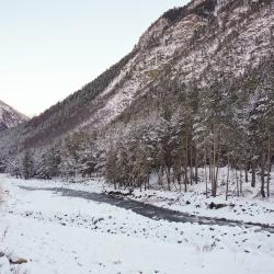 Фото Отель Альпина Хаус