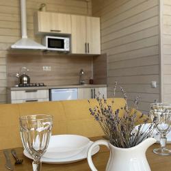 Фото Отель Шишка