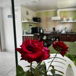 Фото Отель Гиацинт