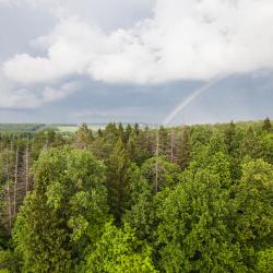 Фото Отель Курорт Красная Пахра