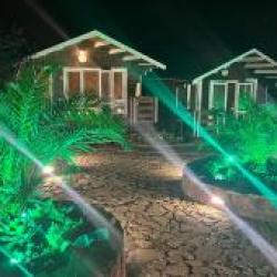 Фото Отель Флора