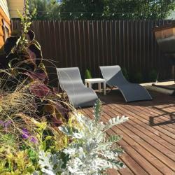 Фото Отель Елки-Палки