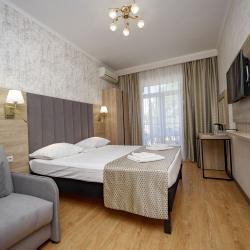 2-местный номер комфорт (вид на парк)