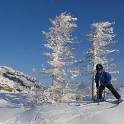 Фото Отель Apreski Бунгало на Банном (Апрески)