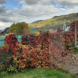 Фото Отель Коттедж Манжерок