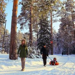 Фото Отель Сосновый бор