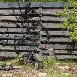 Фото Отель Гарри и философский чан