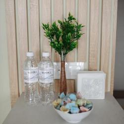 1-комнатные апартаменты студия