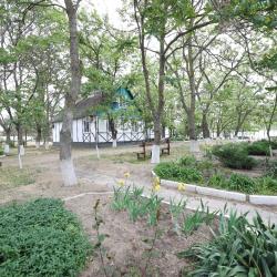 Фото Отель Оазис