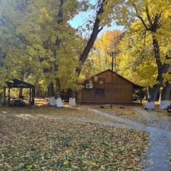 Фото Отель Надежда