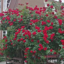 Фото Отель Согдиана