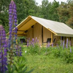 Фото Отель Малина Глэмпинг Коса