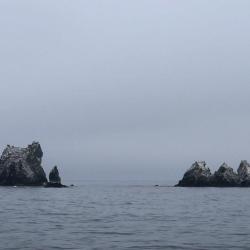 Фото Отель Soho (Сохо)