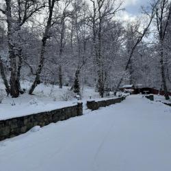 Фото Отель Woodland (Вудлэнд)