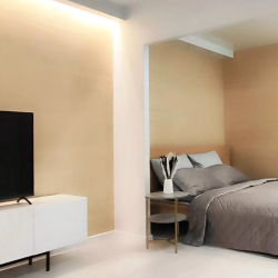 1-комнатные апартаменты студия