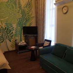 Стандарт с 1 двуспальной кроватью (вид на сад)