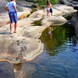 Фото Отель Гостевой комплекс Сосны