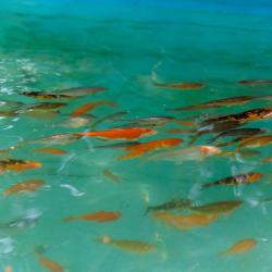 Фото Отель Горы и море