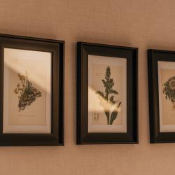 Фото Отель Лето