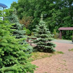 Фото Отель Astra SPA hotel (Астра)