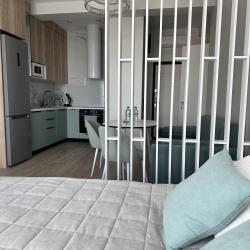 1-комнатные апартаменты студия