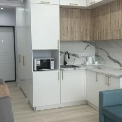 1-комнатные апартаменты студия