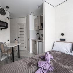 2-местные апартаменты студия Апартаменты на Эйнштейна 4