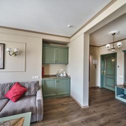 Комната люкс с 1 двуспальной кроватью (с завтраком)