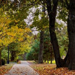 Фото Отель Солнечная на Оке