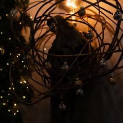 Фото Отель Байкал Хан Ольхон