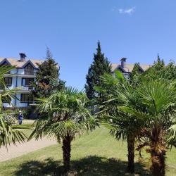 1-комнатные апартаменты люкс