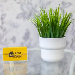 Фото Отель RentPlaza (РентПлаза) на Московском шоссе