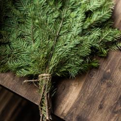 Фото Отель Мандала