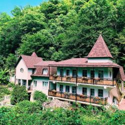 Фото Отель Гостевой дом Шале Агава