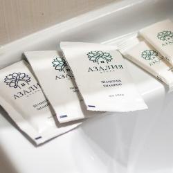 Фото Отель Азалия Янаис