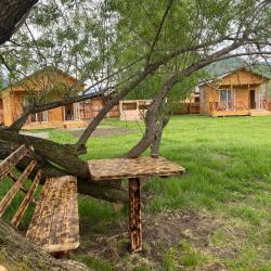 Фото Отель Алтайские дачи