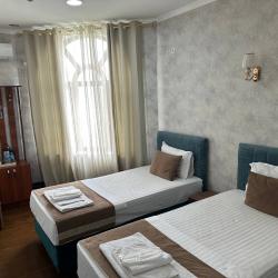 Фото Отель Shosh Avenue Hotel (Шош Авеню)