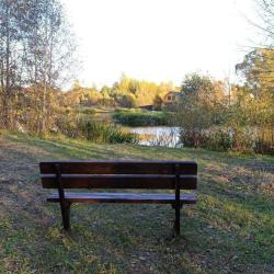 Фото Отель Рябинушка 1