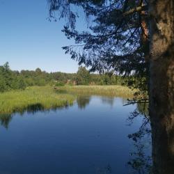 Фото Отель Dream Forest & River PZ (Дрим Форест & Ривер ПЗ)