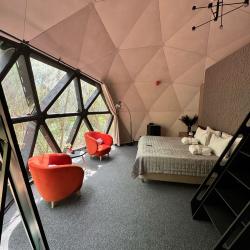 Forest-house 20