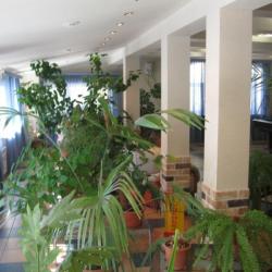 Фото Отель 21 Век