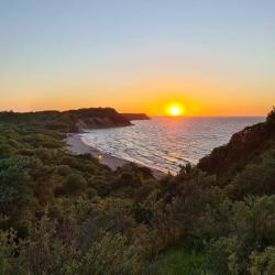 Фото Отель Коттедж на Солнечном переулке