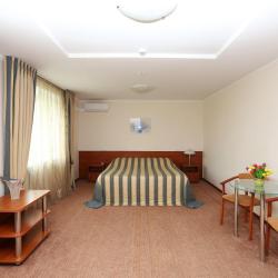 Номер люкс с 1 двуспальной кроватью