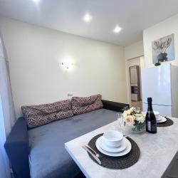 2-комнатные апартаменты стандарт Майская 11