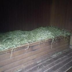 Фото Отель Огни Имандры