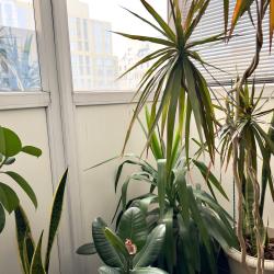 2-комнатные апартаменты люкс рядом с Набережной с видом на Бульвар Дзержинского