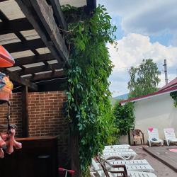 Фото Отель Каменный цветок