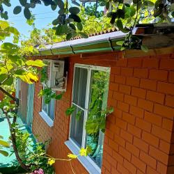Фото Отель Под пальмой