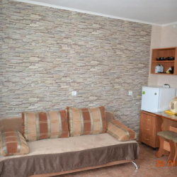 1-местный номер эконом